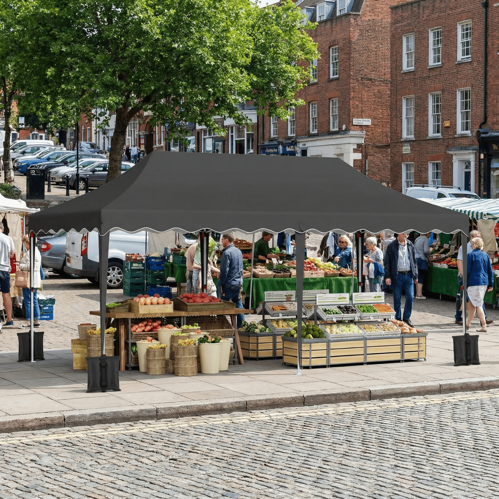 TLSUNNY 10'x20' Pop up Canopy Tent with 6 Sidewalls, Adjustable Height Commercial Events Instant Gazebo, with Wheeled Bag